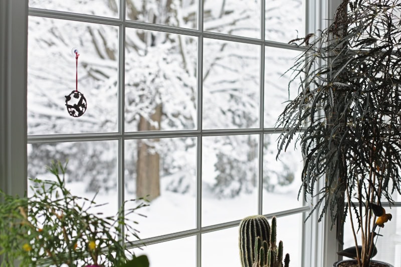 How Can I Lower My Heating Bill This Winter? Photo of a window surrounded by plants, looking out into a winter view.