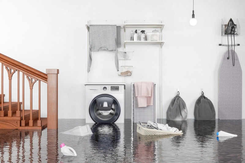 What to Do When Your Basement Floods in DeKalb County